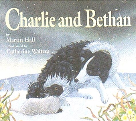 Charlie and Bethan (Paperback, New ed)