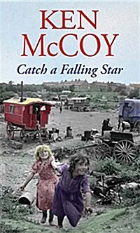 Catch a Falling Star (Paperback)