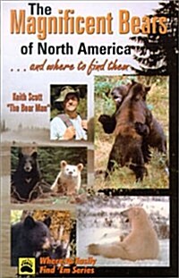 Magnificent Bears of North America: And Where to Find Them (Paperback)