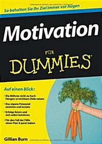 Motivation Fur Dummies (Paperback)
