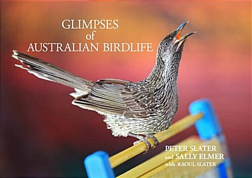 Glimpses of Australian Birdlife (Hardcover)