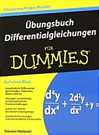 Ubungsbuch Differentialgleichungen Fur Dummies (Paperback)