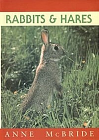 Rabbits and Hares (Paperback)