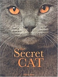 The Secret Cat (Paperback, New ed)