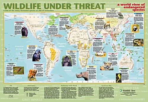 Wildlife Under Threat (Poster)