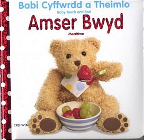 Amser Bwyd/Mealtime (Hardcover)