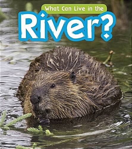 What Can Live in a River? (Paperback)