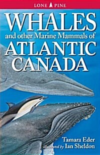Whales & Other Marine Mammals of Atlantic Canada (Paperback)