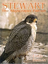 Stewart: The Skyscraper Falcon (Hardcover)