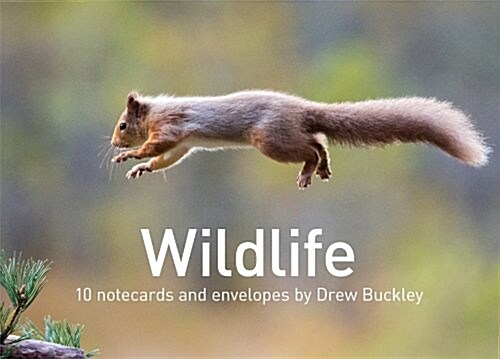 Wildlife by Drew Buckley (Cards)