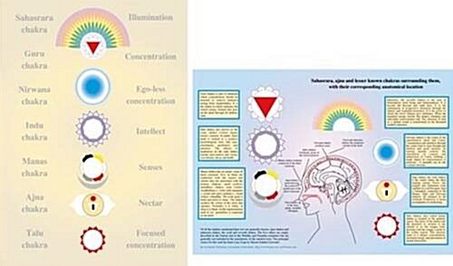 Lesser-Known Chakras - A4 (Poster)