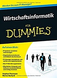 Wirtschaftsinformatik Fur Dummies (Paperback)