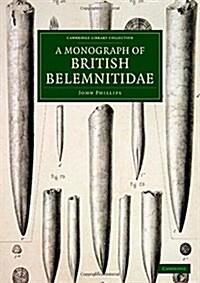 A Monograph of British Belemnitidae (Paperback)