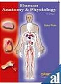 Human Anatomy and Physiology (Paperback)