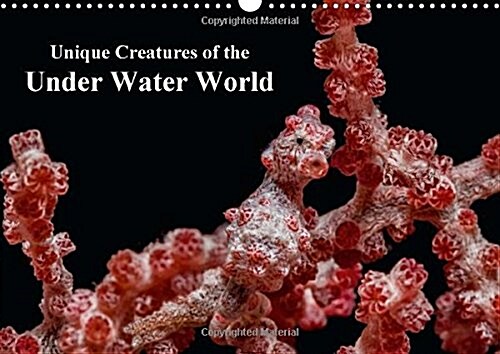 Unique Creatures of the Under Water World : Underwater Photographs of Unique and Colorful Sea Creatures (Calendar)