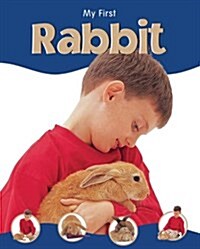 Rabbit (Paperback)