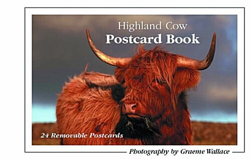 Highland Cow Postcard Book (Postcard Book/Pack)