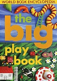 BIG PLAY BOOK (Hardcover)