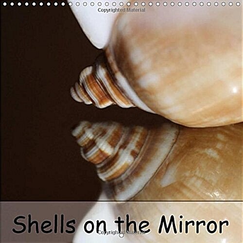 Shells on the Mirror : Every Month Another Shell. (Calendar)