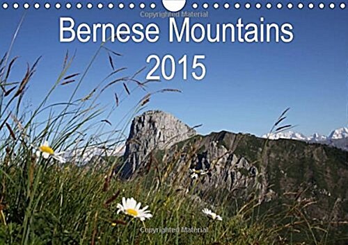 Bernese Mountains 2015 : In the Heart of the Alps (Calendar)