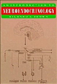 An Introduction to Neuroendocrinology (Hardcover)