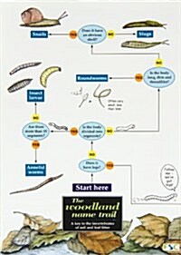 The woodland name trail : A key to the invertebrates of soil and leaf litter (Paperback)
