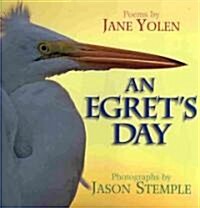 An Egrets Day (Hardcover)