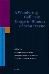 A Wandering Galilean: Essays in Honour of Se? Freyne (Hardcover)