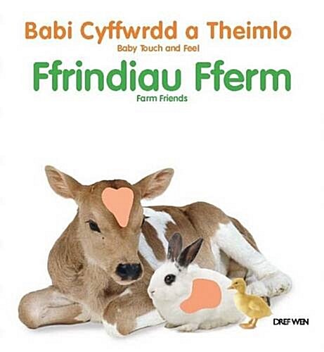 Babi Cyffwrdd a Theimlo/Baby Touch and Feel: Ffrindiau Fferm/Farm Friends (Hardcover, Bilingual ed)