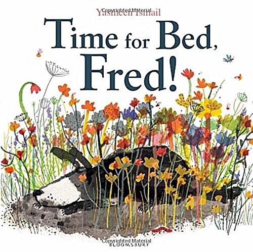 Time for Bed, Fred! : Big Book (Paperback)