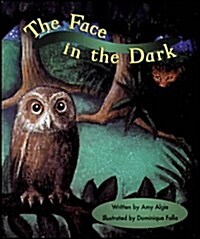 The Face in the Dark (Paperback)