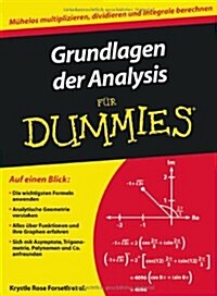 Grundlagen der Analysis Fur Dummies (Paperback)