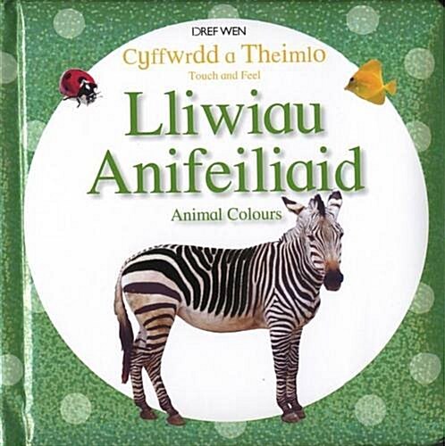 Cyffwrdd a Theimlo/Touch and Feel: Lliwiau Anifeiliaid/Animal Colours (Hardcover)