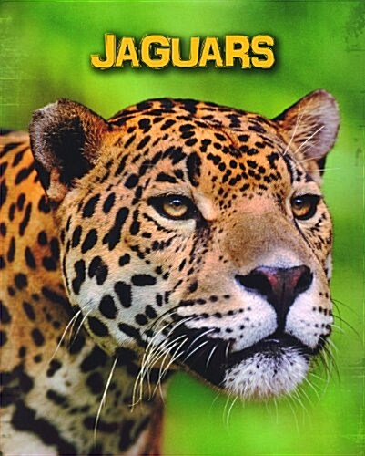 Jaguars (Hardcover)
