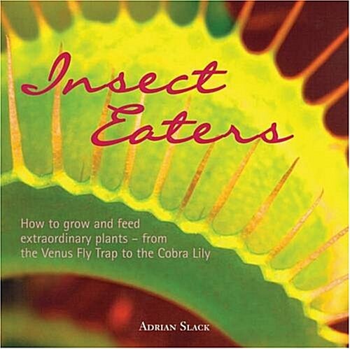 Insect Eaters : How to Grow and Feed Extraordinary Plants (Paperback)