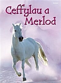 Ceffylau a Merlod (Hardcover)