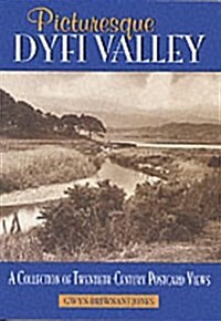 Picturesque Dyfi Valley (Hardcover)