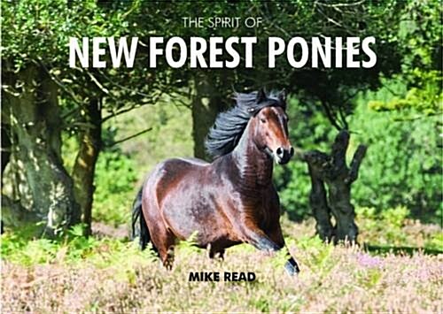 The Spirit of New Forest Ponies (Hardcover, 2 Revised edition)