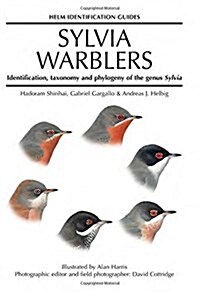 Sylvia Warblers : Identification, Taxonomy and Phylogeny of the Genus Sylvia (Hardcover)