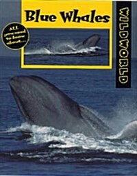 Blue Whales (Hardcover)