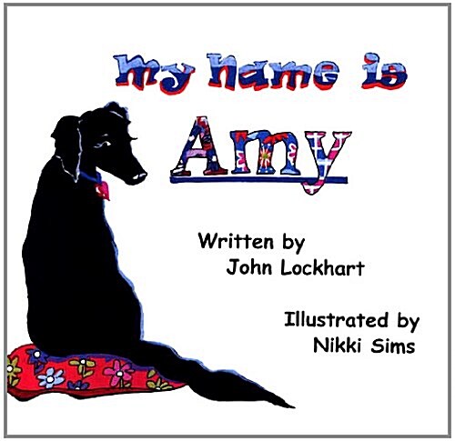 My Name is Amy (Paperback)