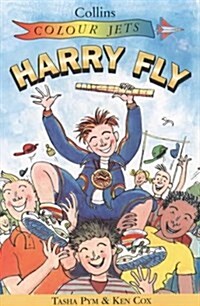 Harry Fly (Paperback)