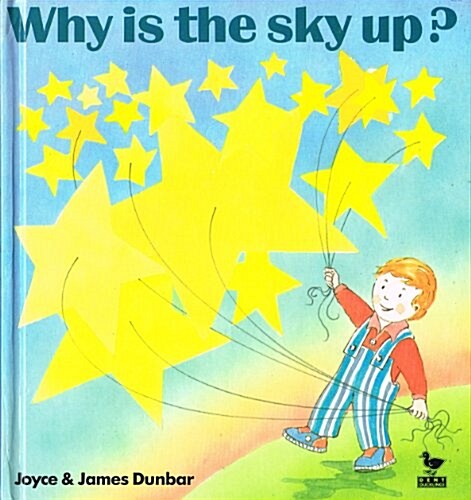 WHY IS THE SKY UP (Hardcover)