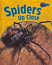 Spiders Up Close (Hardcover)