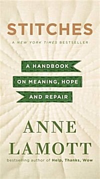 Stitches : A Handbook on Meaning, Hope, and Repair (Paperback)
