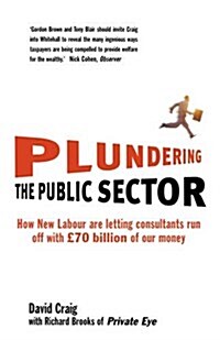 Plundering the Public Sector : How New Labour are Letting Consultants run off with £70 billion of our Money (Paperback)