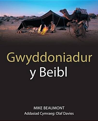 Gwyddoniadur Y Beibl (Paperback)