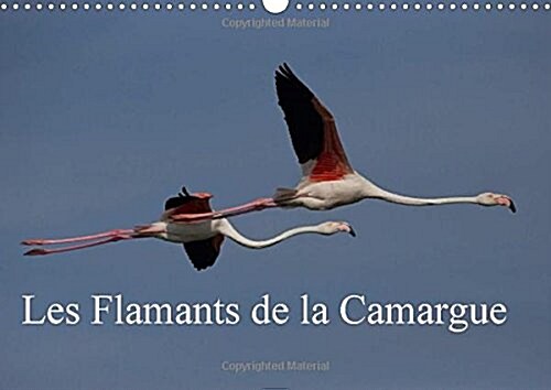 Les Flamants De La Camargue : Scenes De La Vie Dune Espece Fascinante. (Calendar)
