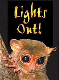 Lights Out! (Paperback)