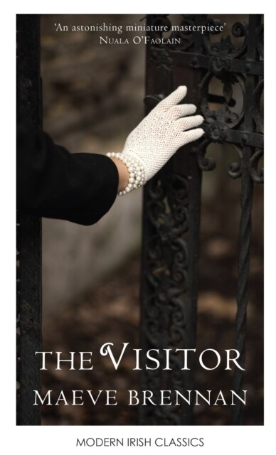 The Visitor (Paperback, 2 Rev ed)